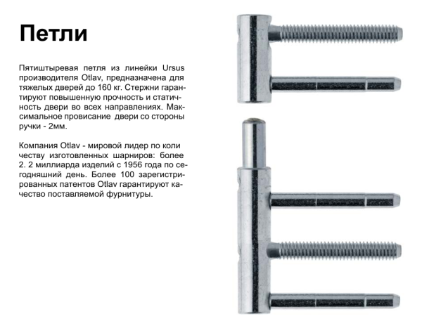 Входная дверь для частного дома WRK-TP-06 M9*21 прав 3020/9016 стекло матовое штанга/нажимная