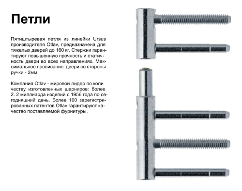 Входная дверь для частного дома TP-14